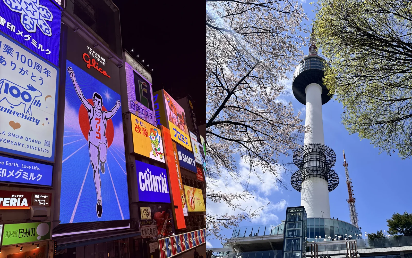 Japón y Corea en los viajes de Momiji Go