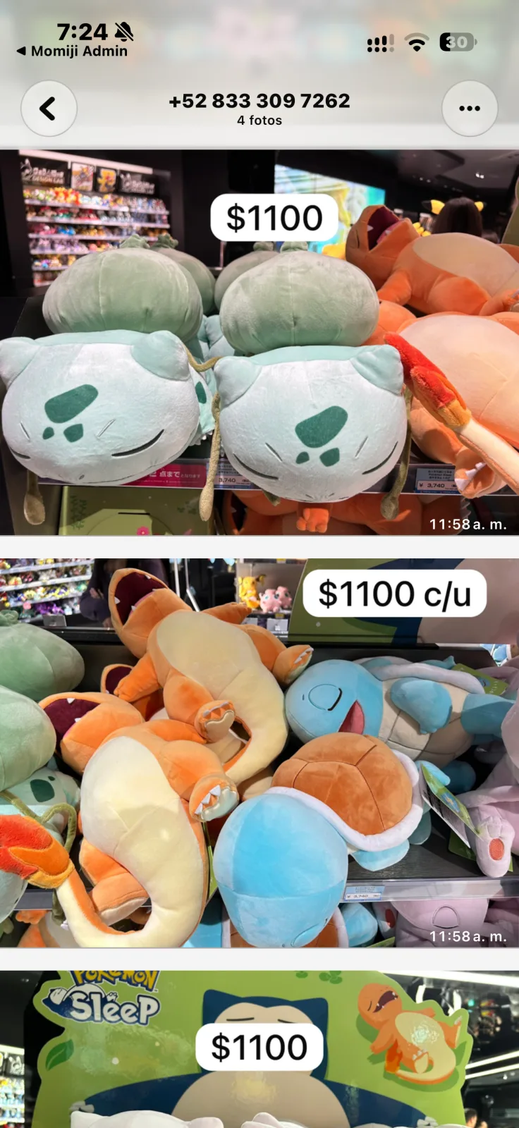 Pokemon dormido